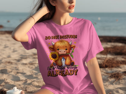 Do Not Disturb I'm Disturbed Enough Already T-Shirt