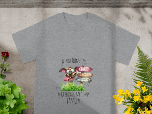 If You Think I'm Crazy Funny Statement T-shirt