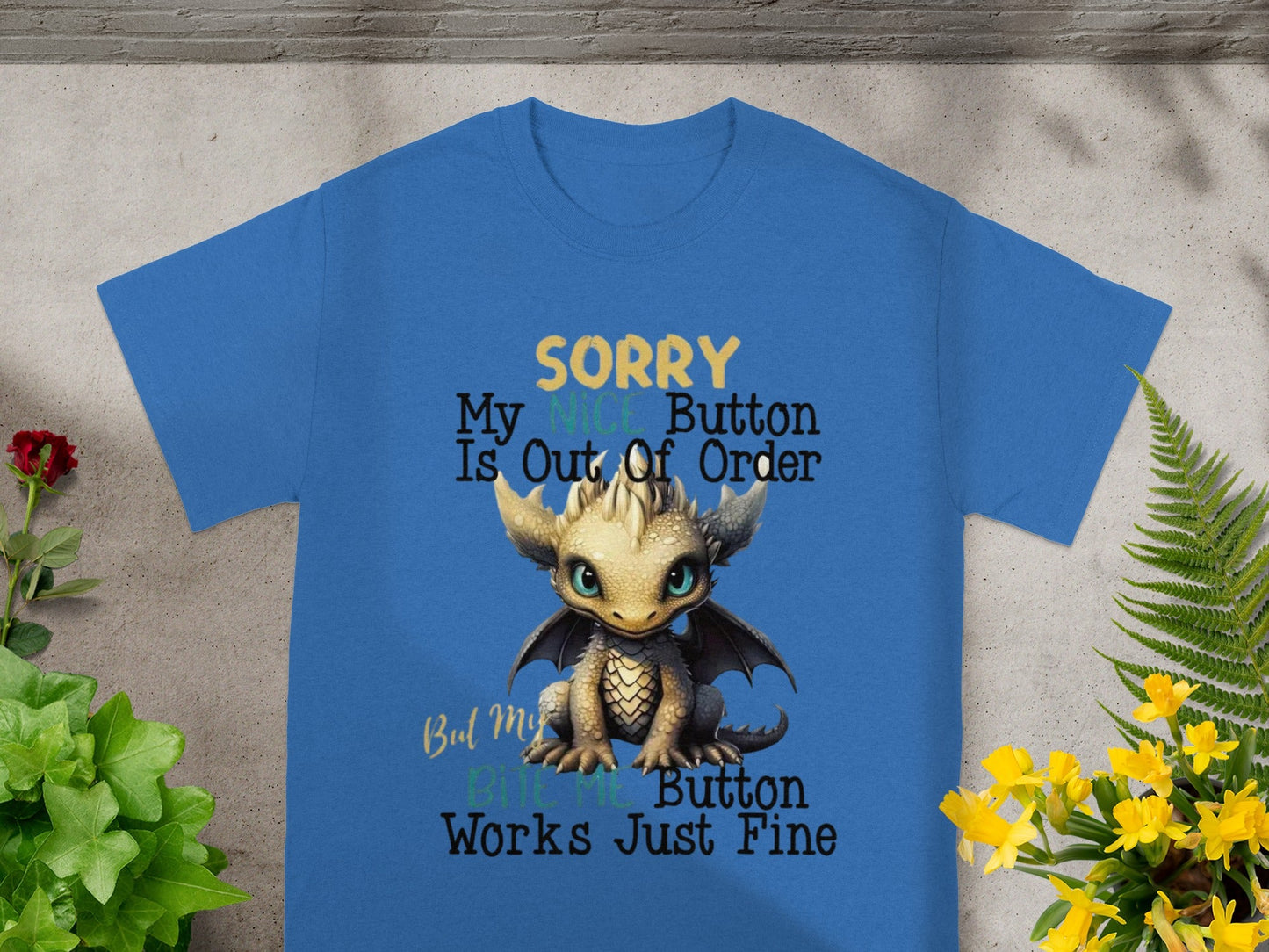 Sorry My Nice Button Is Out Of Order Funny Shirt