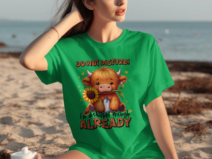 Do Not Disturb I'm Disturbed Enough Already Shirt