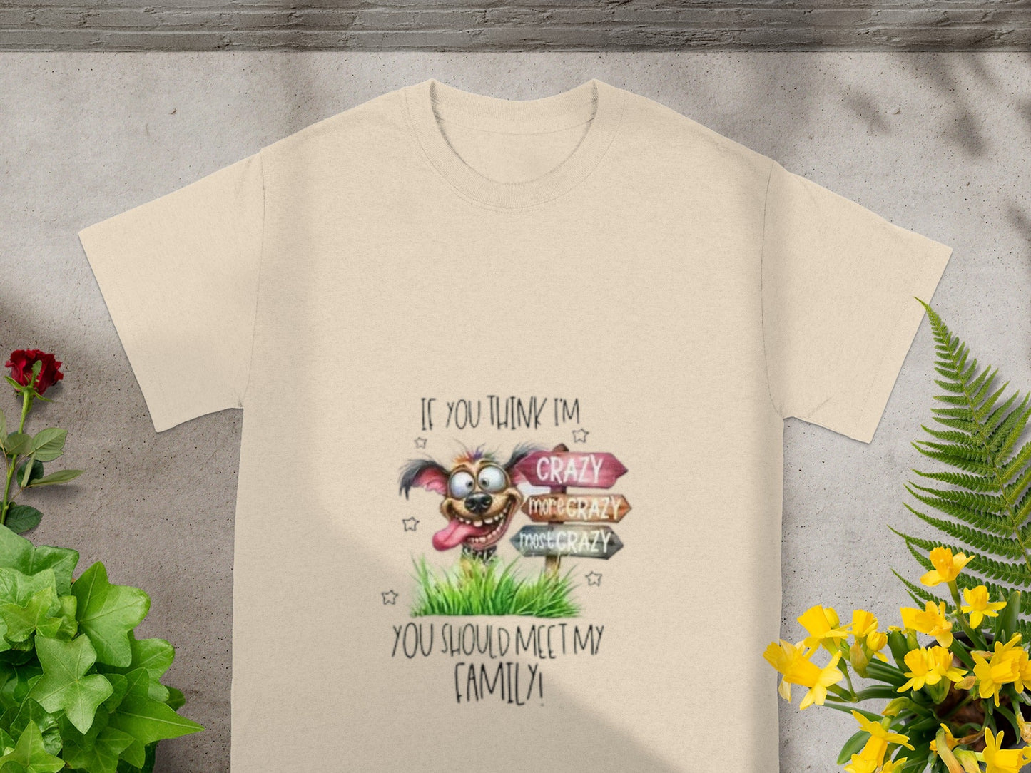 If You Think I'm Crazy Meet My Family T-Shirt