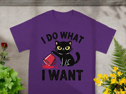 I Do What I Want Black Cat Graphic T-Shirt