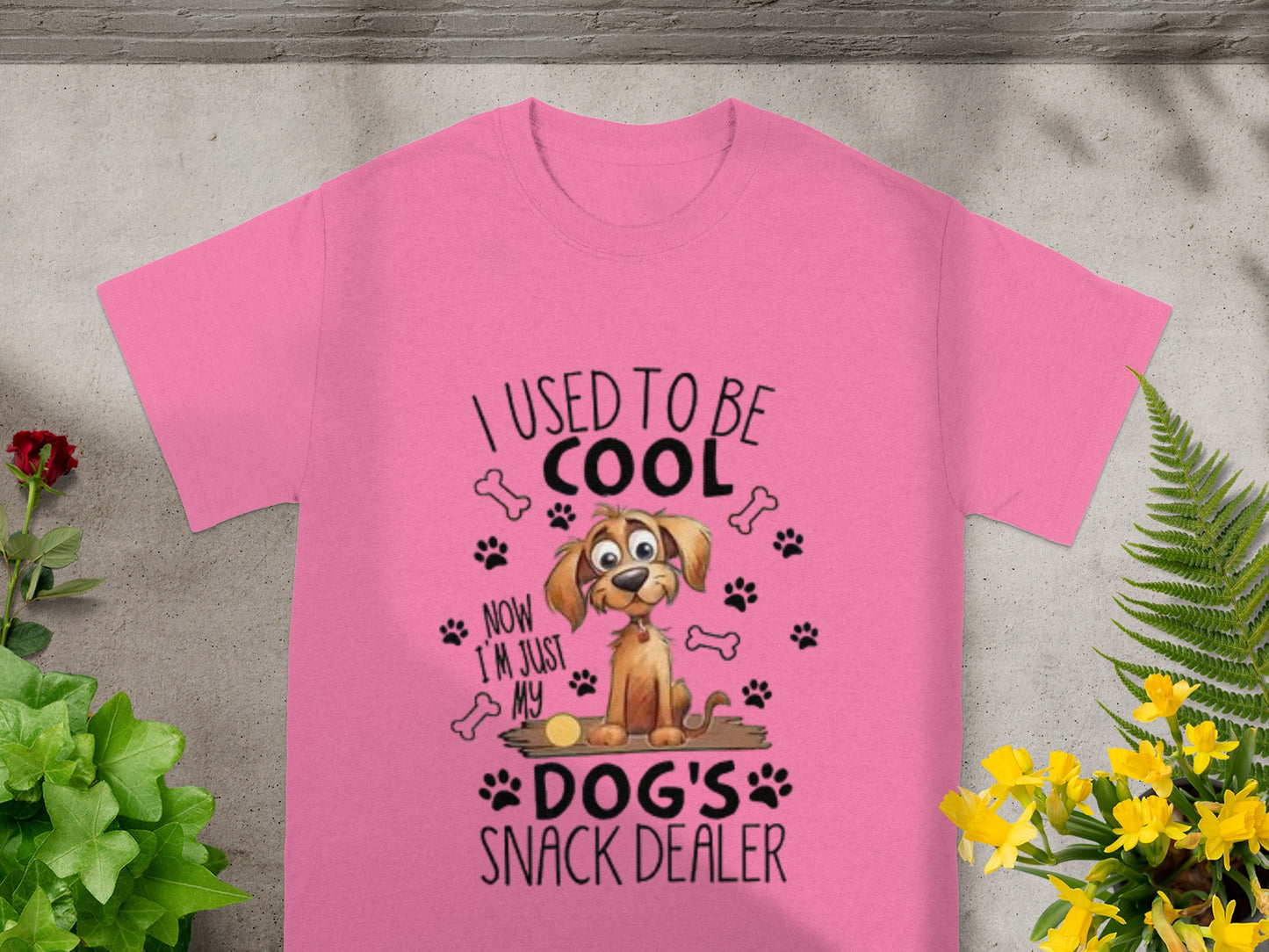 I Used to Be Cool Now I'm Just My Dog's Snack Dealer Shirt