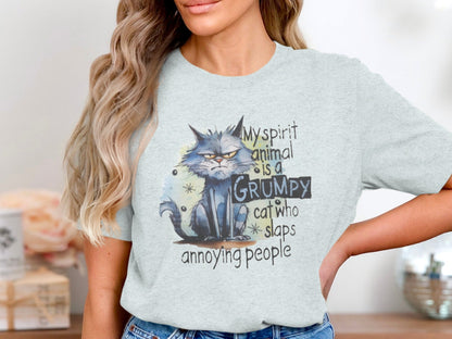 My Spirit Animal Is A Grumpy Cat Funny T-Shirt