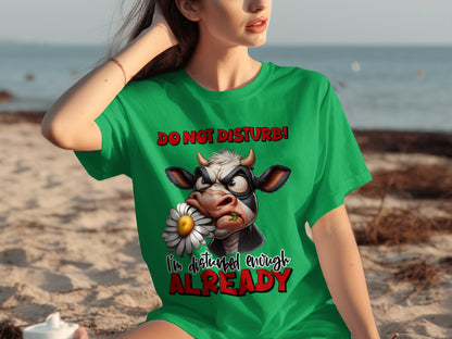 Do Not Disturb I'm Disturbed Enough Already T-shirt