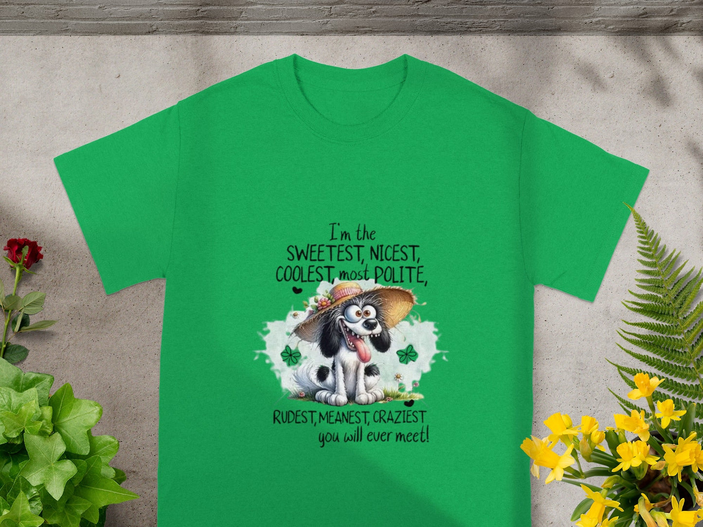 Sweetest Nicest Coolest Rudest Meanest Craziest T-Shirt